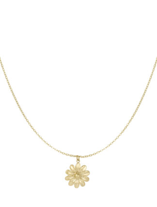 ketting-blossom-blis