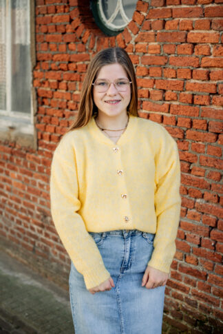 vest-sanne-geel