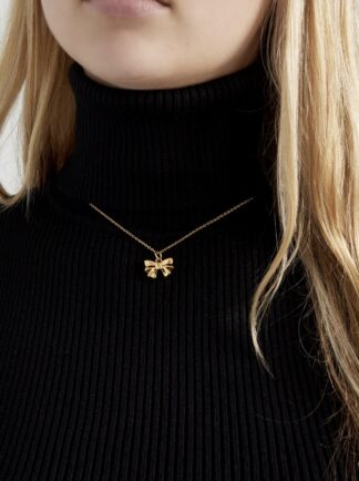 ketting-strikje
