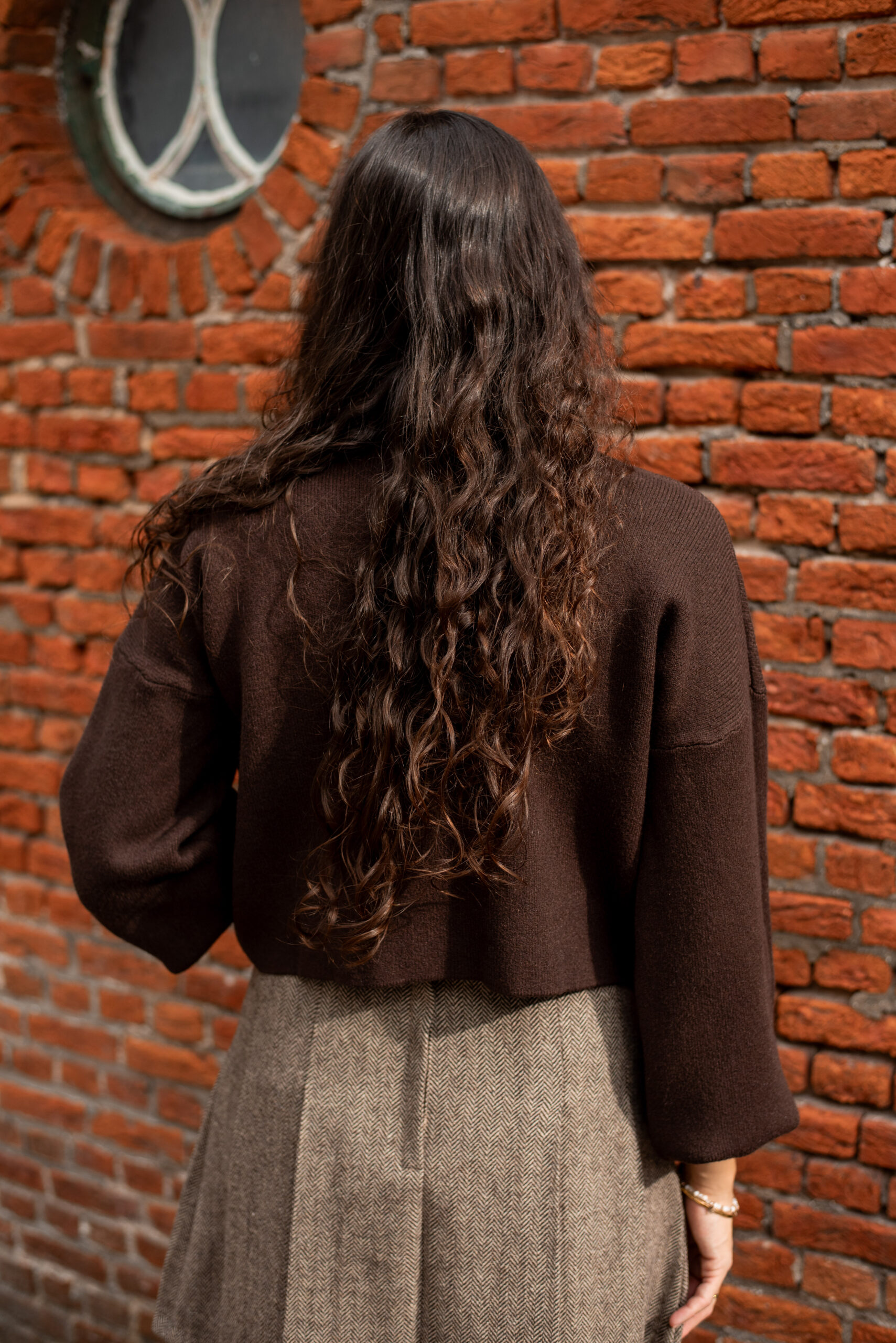 Bruine coltrui - Afbeelding 4
