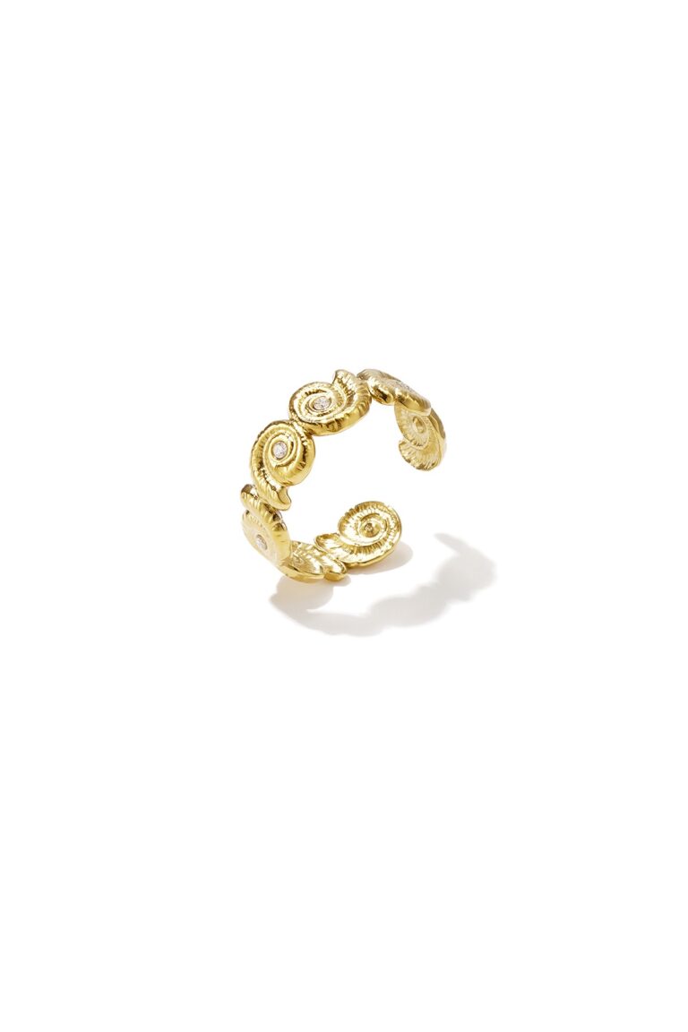 Ring organisch